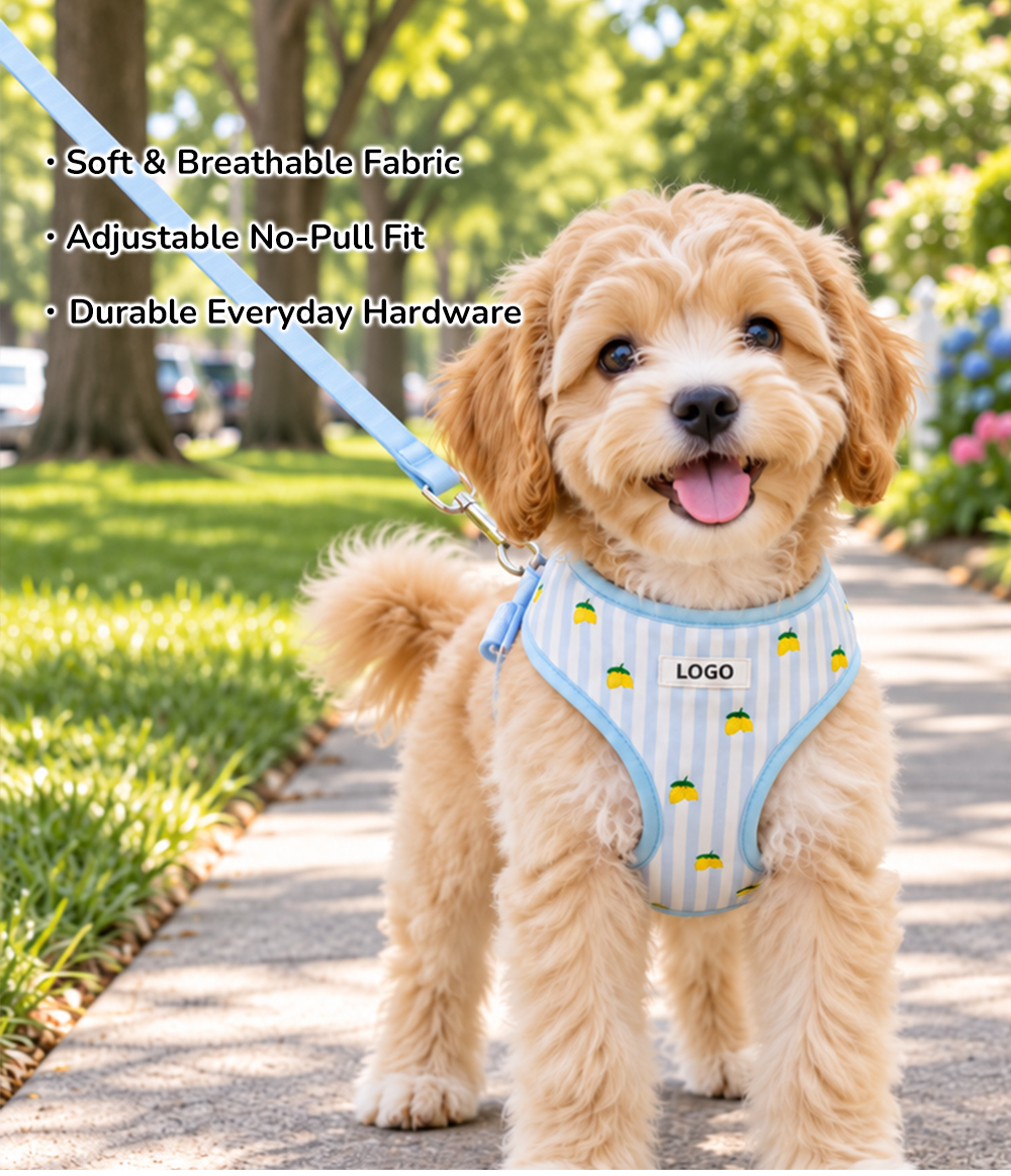 Custom Lemon Print Dog Harness, Collar & Leash 3-Piece Set_1790653455.jpg Custom Lemon Print Dog Harness, Collar & Leash 3-Piece Set.jpg